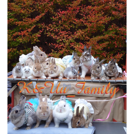 4f8f8eb3 94fa 47d2 8702 d6c93cd25572 s