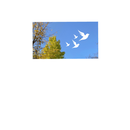 04d28b8b 12d1 44bf 95db e3274f7d9064 s