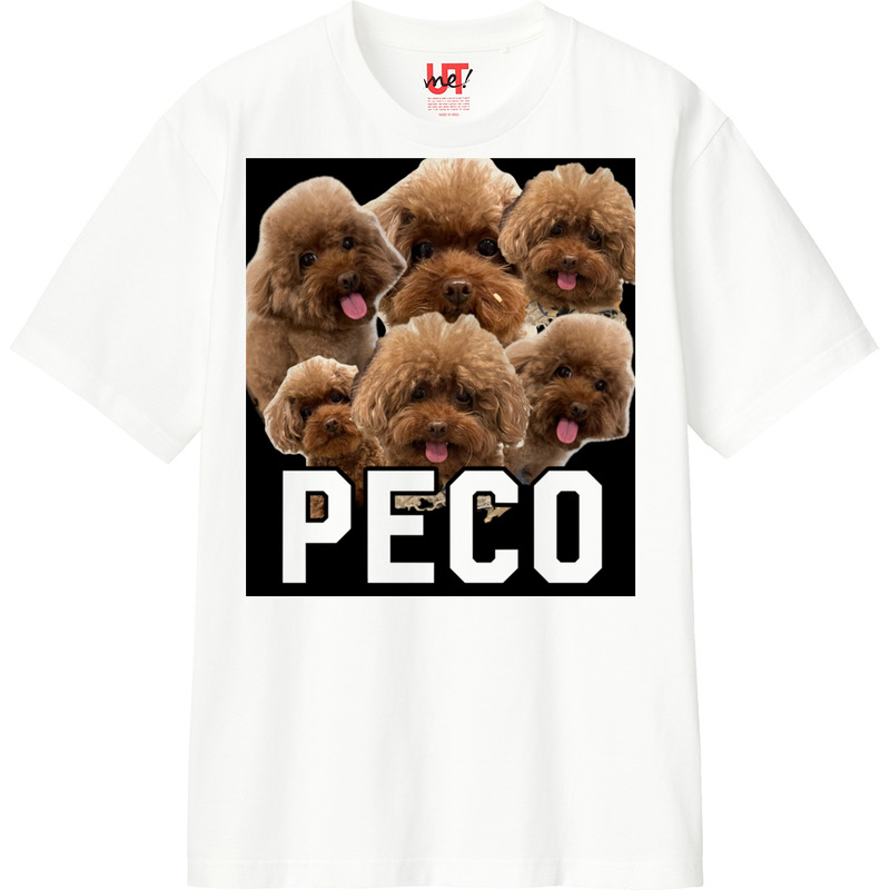 C99ca228 de98 425b b694 28e49bce7d06 110 print ll