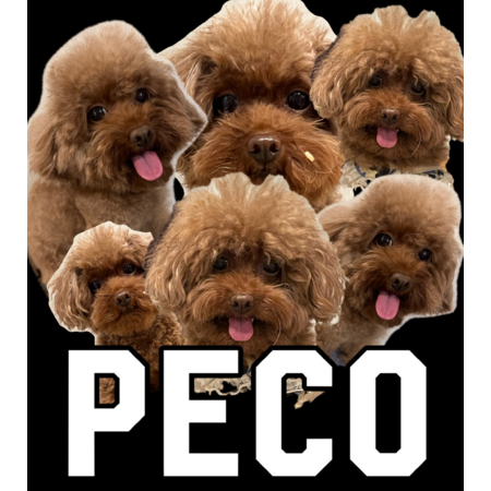 C99ca228 de98 425b b694 28e49bce7d06 s