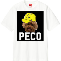 93539eaf b3a3 4ed7 97cf 0bdab0151cf7 110 print s