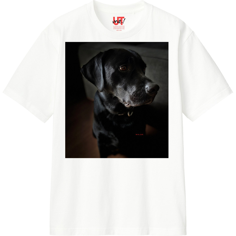 26e5b582 f762 4e1a 84b7 5c7504ea4119 110 print ll