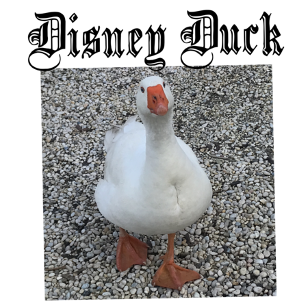 F45f2608 8164 4678 86c8 a9bfac7d5dd7 s