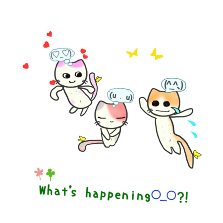 Aff4a895 6f6c 4d19 bd11 3c0b9749696a s