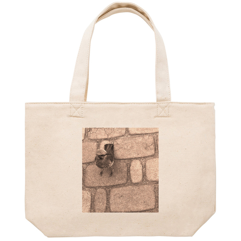 F07d24ea b9cf 4709 ad0f 952cf12cbb38 53 print ll