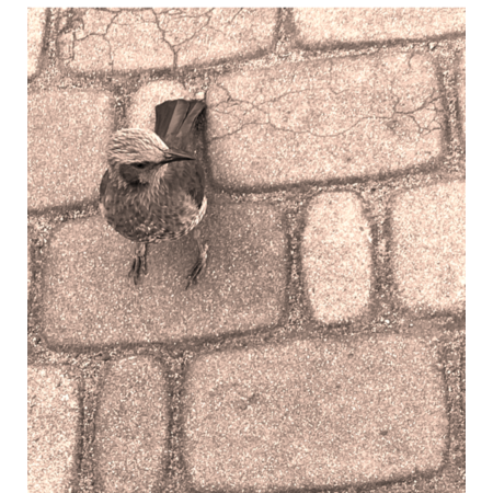 F07d24ea b9cf 4709 ad0f 952cf12cbb38 s