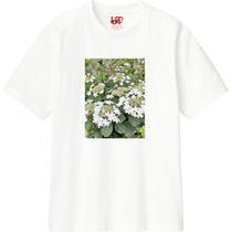 2efb8e10 1999 437c bc25 c886a9992a58 110 print s