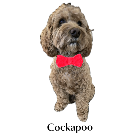 A62f1a34 7f53 4fc2 ad58 ce2da8ab0ab1 s