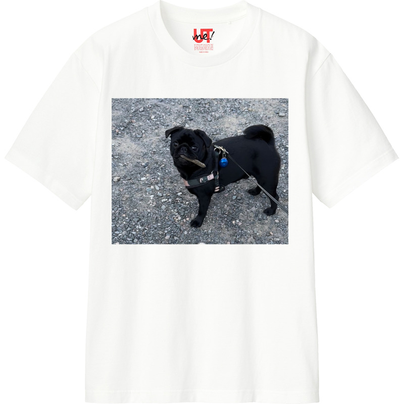 78192202 b199 453a bc9c bd6e539020b8 110 print ll