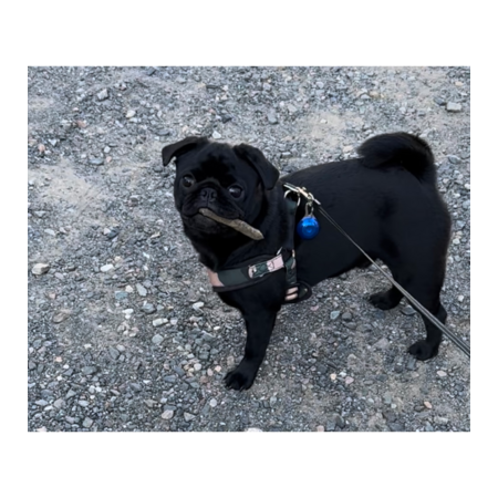 78192202 b199 453a bc9c bd6e539020b8 s