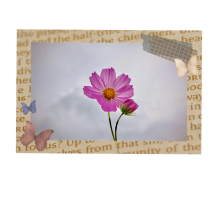 211403d1 29a0 4012 93d5 de5a5c8c56fe s