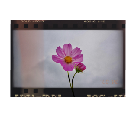 D7de19e8 526e 442c 833c 634a1918f83b s