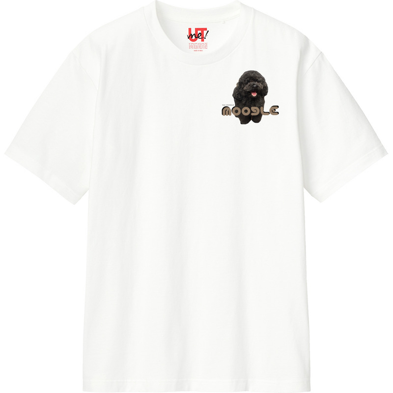 A9b4de25 8e99 454c a3d4 683f1404e083 110 print ll