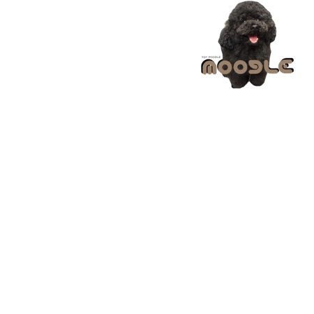 A9b4de25 8e99 454c a3d4 683f1404e083 s