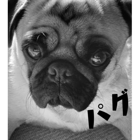 Da4e5959 c2ed 4652 9db9 b2a5149dc28a s