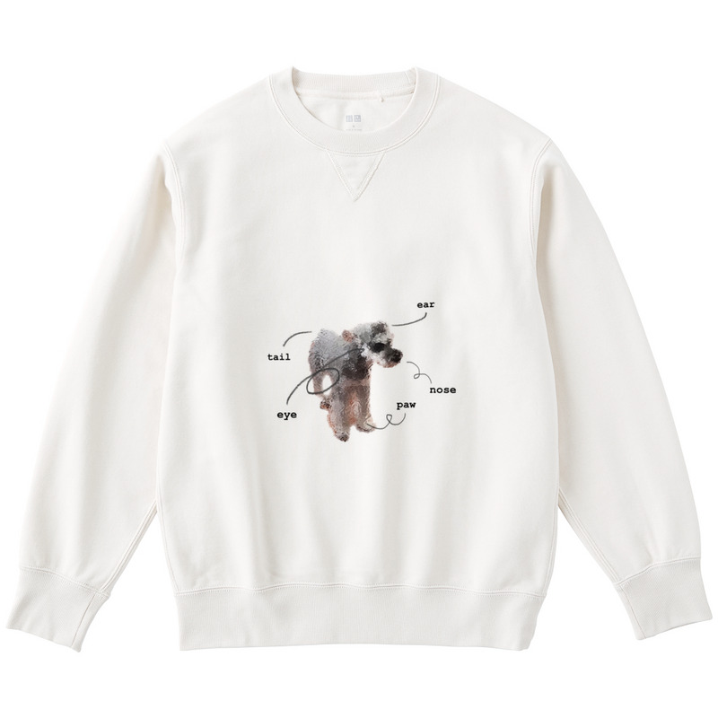 01d2063c 65f3 4323 9af2 b406e8b6560c 122 print ll