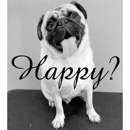 58a97f37 d82a 42d1 99dd a1f5e4b2c942 s