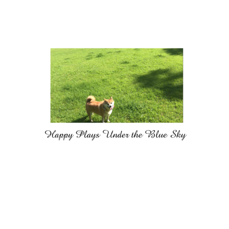 2520fc62 3d9c 4cdc 9ed8 c76d7b4ce9c6 s