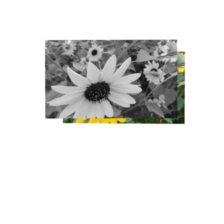 Fad7da2b 4c10 4da7 88dd 57bbd37d0517 s