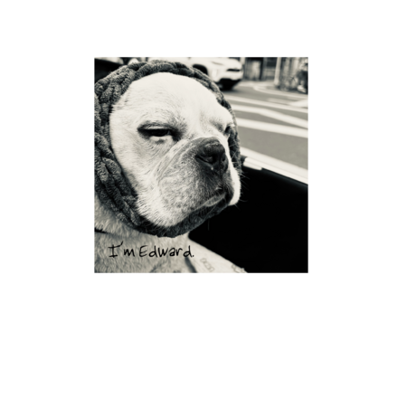 F4f601ee 3af4 468f 826e 71740ab7c92c s