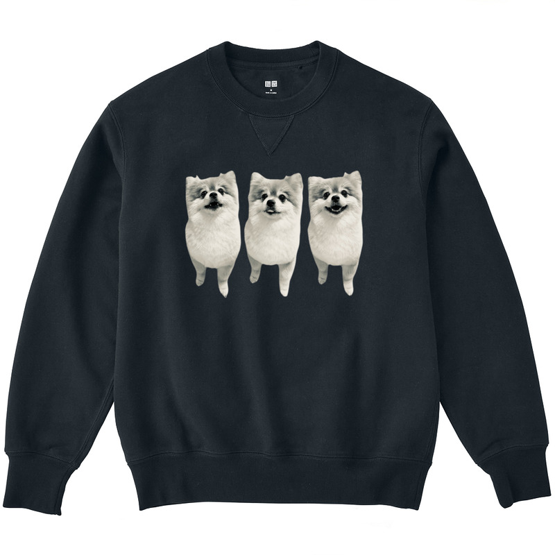 3428d563 fda8 4a99 b2a6 3886ae955069 3 print ll