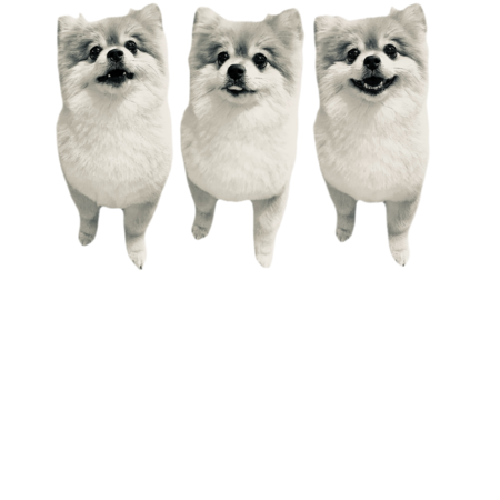 3428d563 fda8 4a99 b2a6 3886ae955069 s