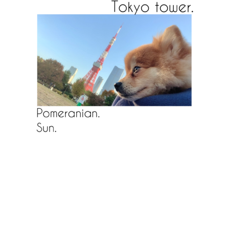 86bc7539 eccb 4b74 97ea 78d5e1ac57e5 s