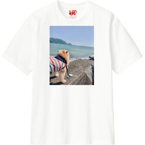 20e9cbbf 086b 4a57 ad48 d5ea2ad3c3ae 110 print s