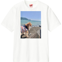 726576a2 c059 4f16 a7e2 a661713e8156 110 print s