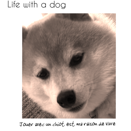 Fe712a8c 67c3 49f5 a909 c1b83af23370 s