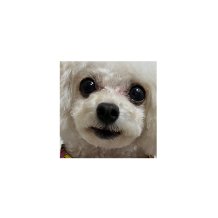 3ccb443f bb69 420d 922c 3255e8af4416 s