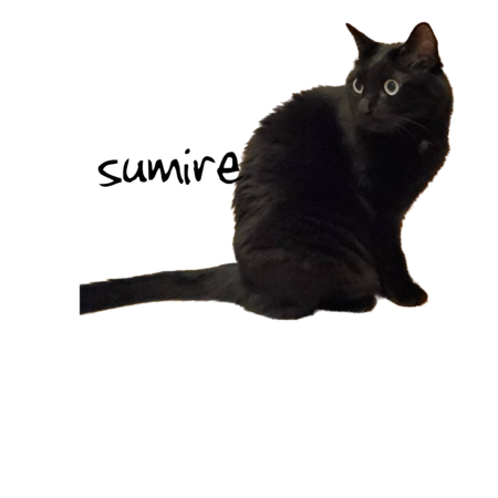 4c51cc5d 1b53 432c abe2 8f7193bef9df s