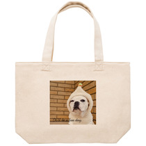 F09e5acc 8fe0 446d a528 ebd54ee0ef7d 53 print s