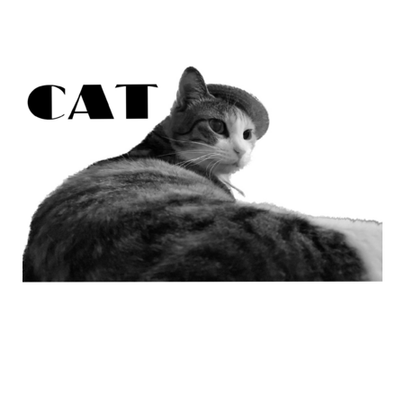 434cabc1 b9f5 4093 bce2 b6ac93723632 s