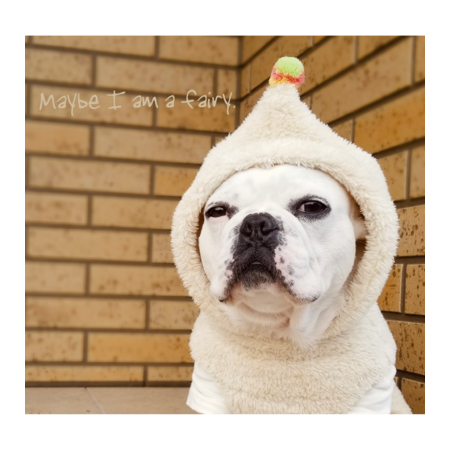 4c5b7b28 8c47 4e36 8bf5 28ba8f53b11c s