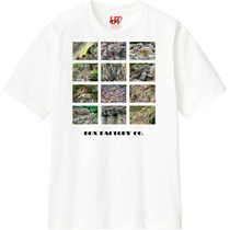 B75dcaec 0fc8 4827 a61c 57af4f9ae267 110 print s