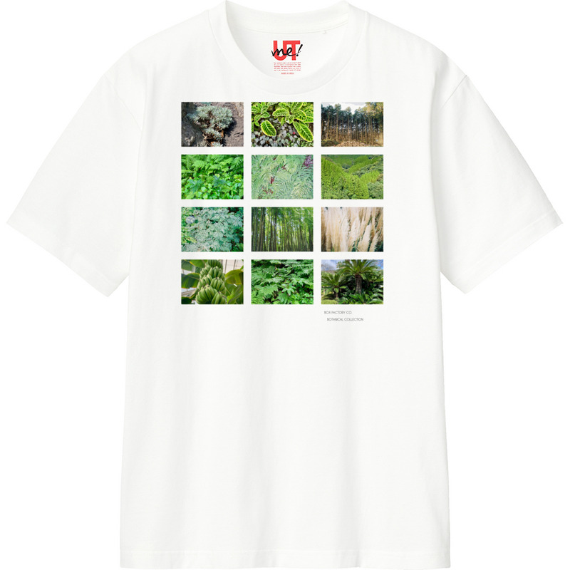 8cf2c7b6 8b6a 44c8 9737 7fba25f76334 110 print ll