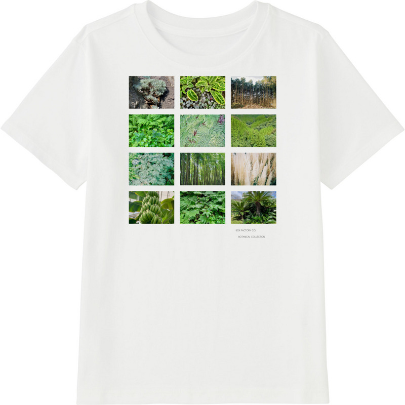 C620a896 f95c 456f ae66 c1c43255a52a 45 print ll