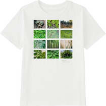 C620a896 f95c 456f ae66 c1c43255a52a 45 print s