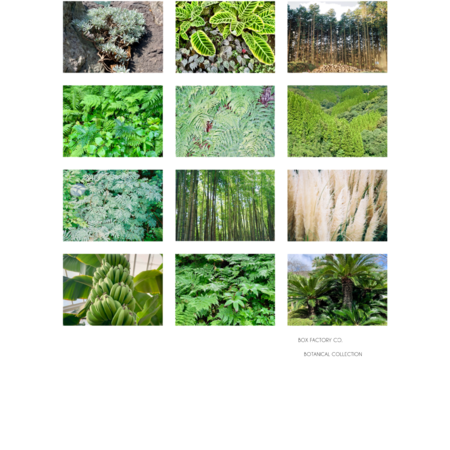 C620a896 f95c 456f ae66 c1c43255a52a s