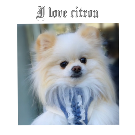 28138f8e 31b0 4795 9f5e c73ac3055b3b s