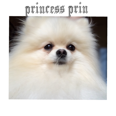 A880705d f22b 4f8b 9778 7f4f124364fa s