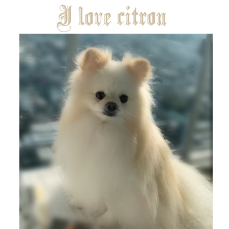 5e854bc4 63e6 4a51 8c7a a6d9522dccdf s