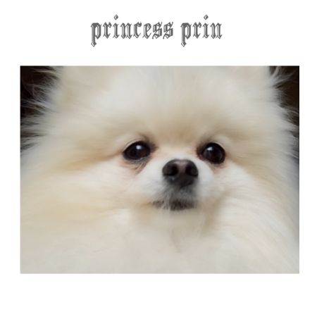 C66838b0 d213 4828 9e80 dd49ec735a0e s