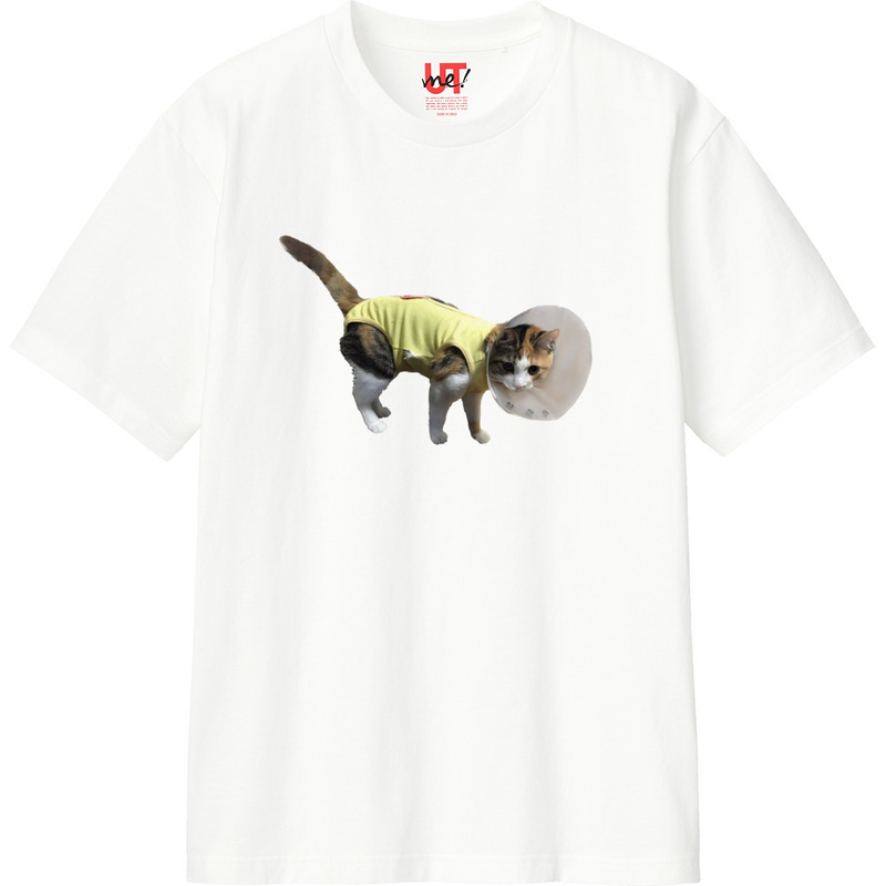 535af98e 686d 40e1 af68 a145f22a0569 110 print ll