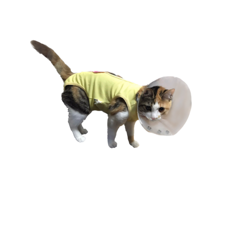 535af98e 686d 40e1 af68 a145f22a0569 s