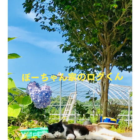 104cf87e ae69 42c1 ba4b 16a6d538746b s