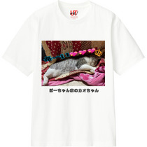 0a809b57 7e1d 40df a891 6f1e0271abee 110 print s