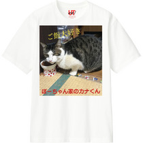 55070335 bb02 4341 a538 15c8a61e1b0f 110 print s