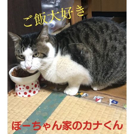 55070335 bb02 4341 a538 15c8a61e1b0f s